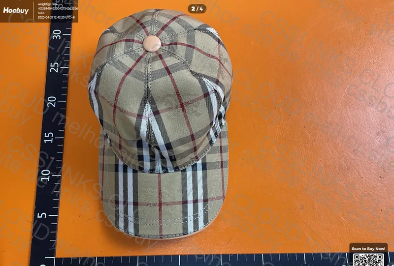 Burburry hat