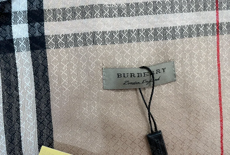 Burberry Scarf 4