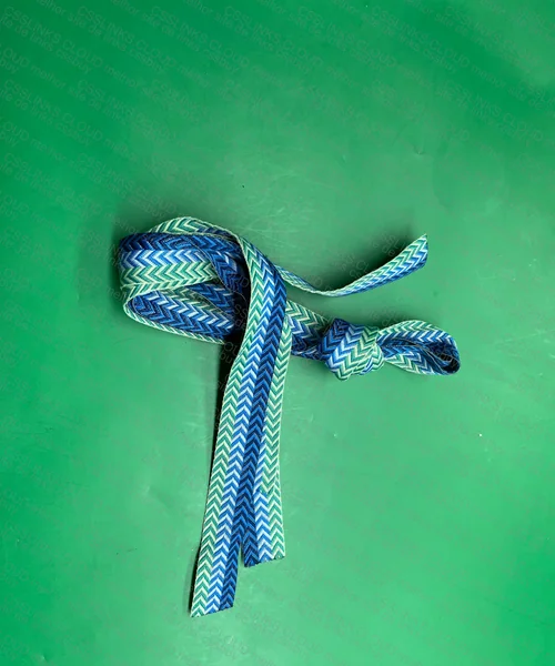 Lanvin Paris Shoelaces