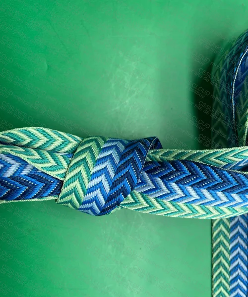 Lanvin Paris Shoelaces 2
