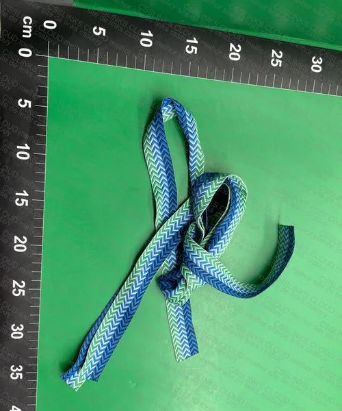 Lanvin Paris Shoelaces 3
