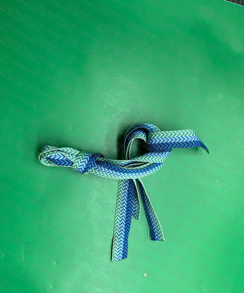 Lanvin Paris Shoelaces 4