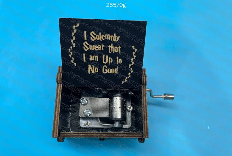 Harry Potter Music Box with Owl