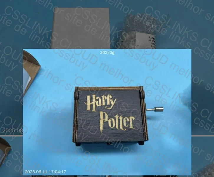 Harry Potter Music Box + Owl