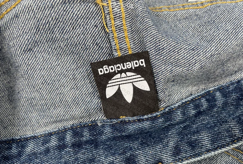 Adidas x Balenciaga Pants 5