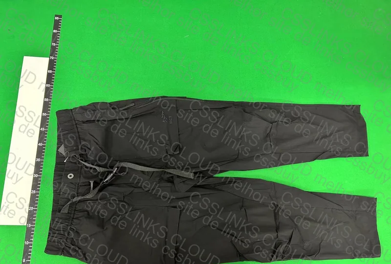Arcteryx 49y Pants 2