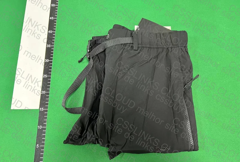 Arcteryx 49y Pants 3