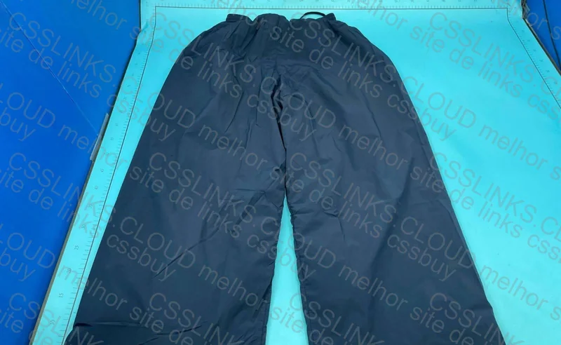 Balenciaga Baggy Pants Loops 2