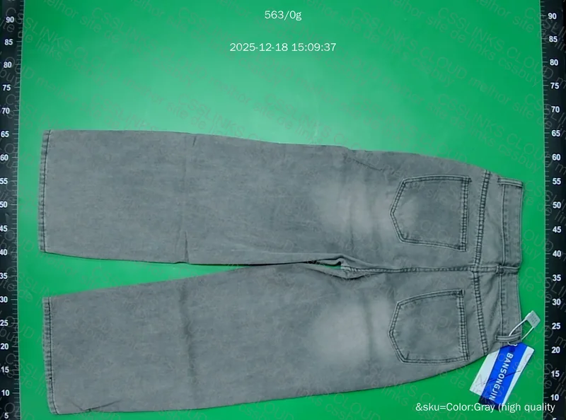 Gray Baggy Pants 2