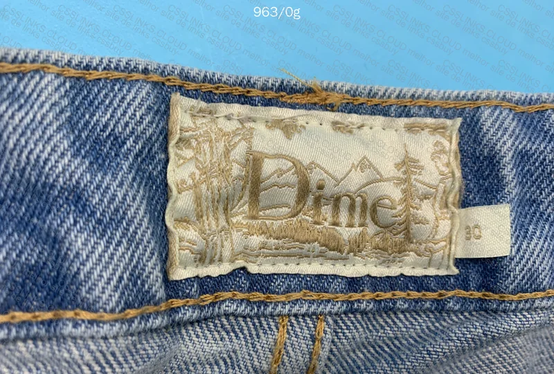 Dime Baggy Pants 4