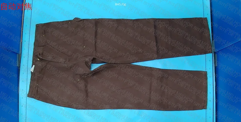 Carhartt Pants