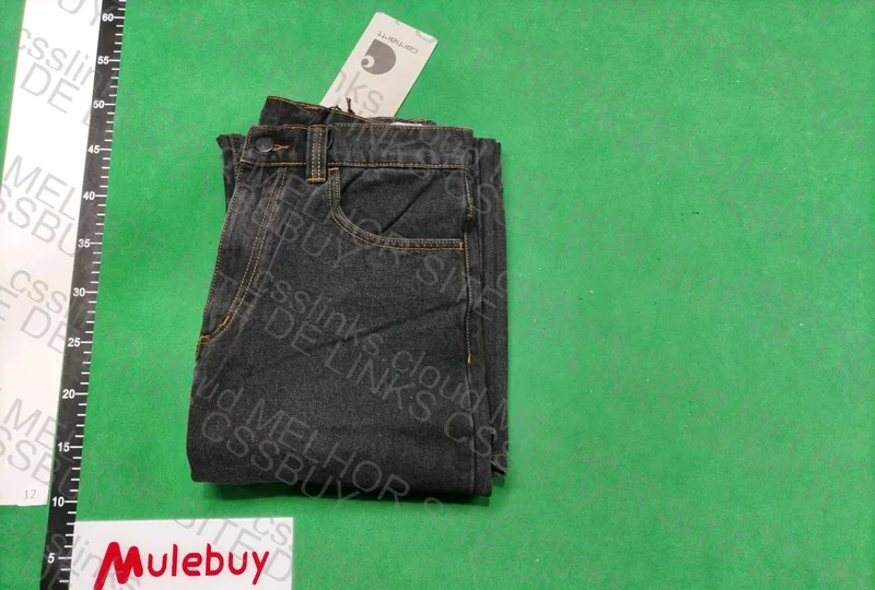 Carhartt Pants Brandon 3