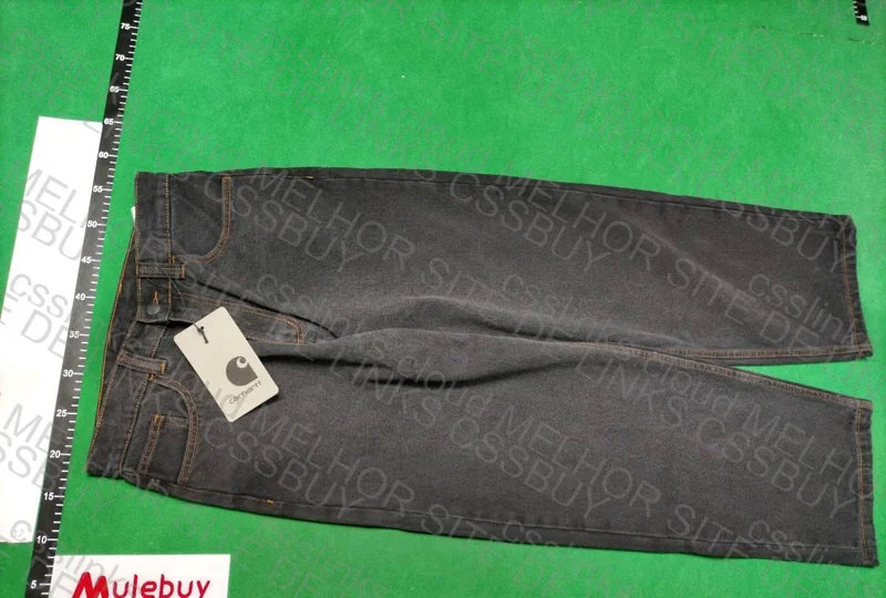 Carhartt Pants Brandon 4