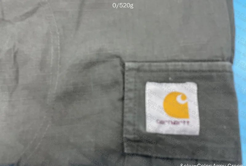 Carhartt WIP Pants 2