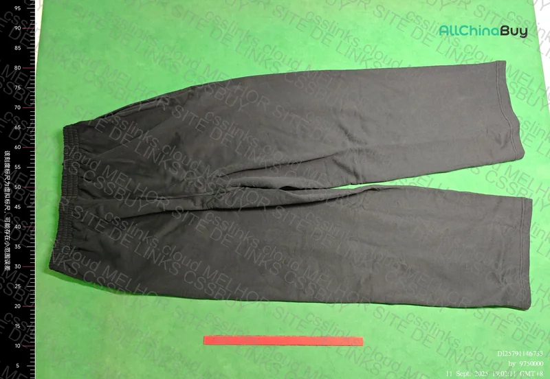Balenciaga Sweatpants 2