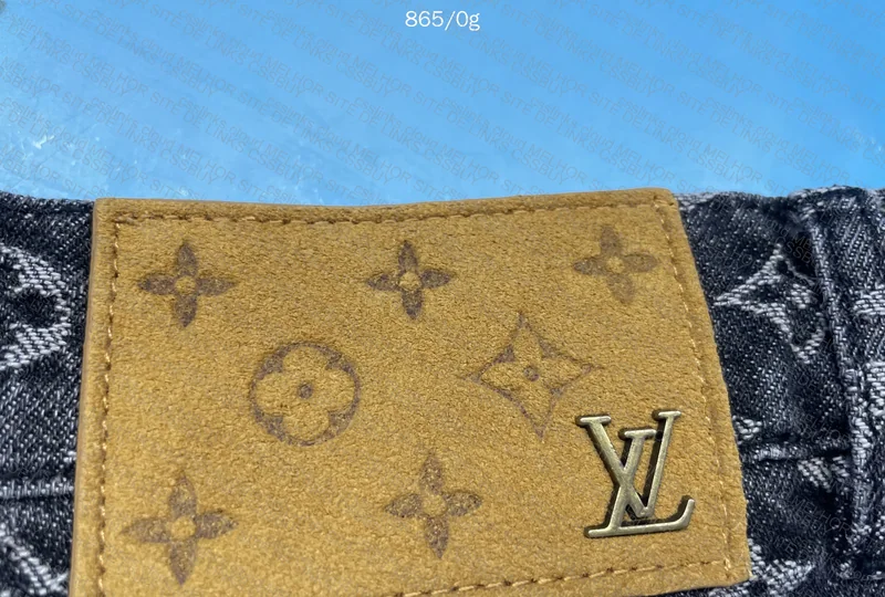 Louis Vuitton Pants 4