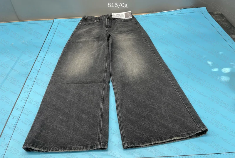 Wide Leg Pants 2