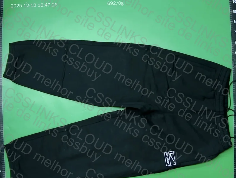 Stussy Pants 5