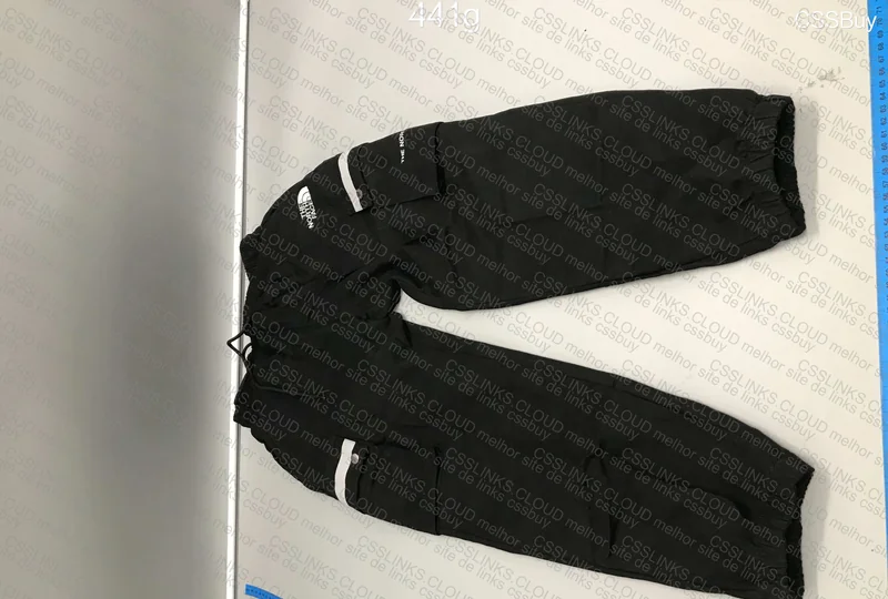 The North Face Pants 3