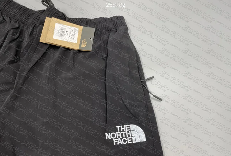 The North Face Pants 2