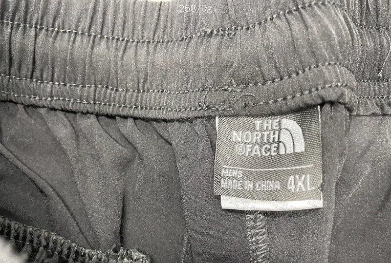 The North Face Pants 3