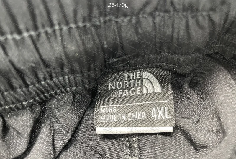 The North Face Pants 3
