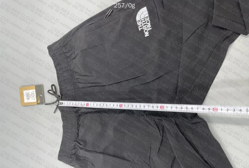 The North Face Pants 2