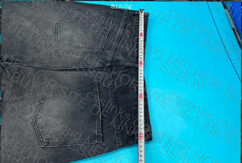 Wide Leg/Renner-Style Pants 2