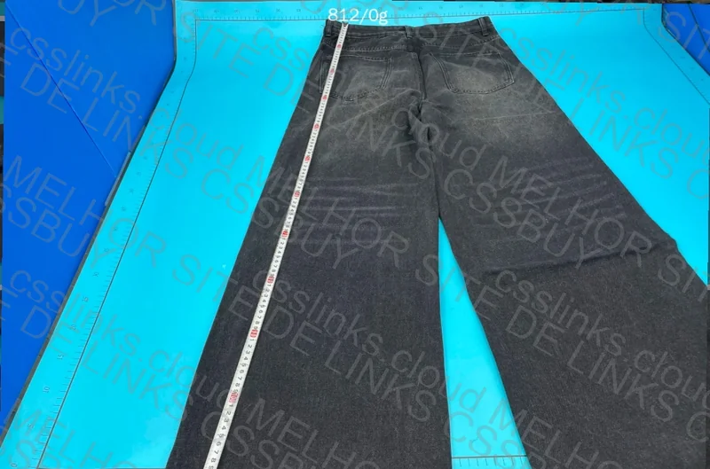 Wide Leg/Renner-Style Pants 3