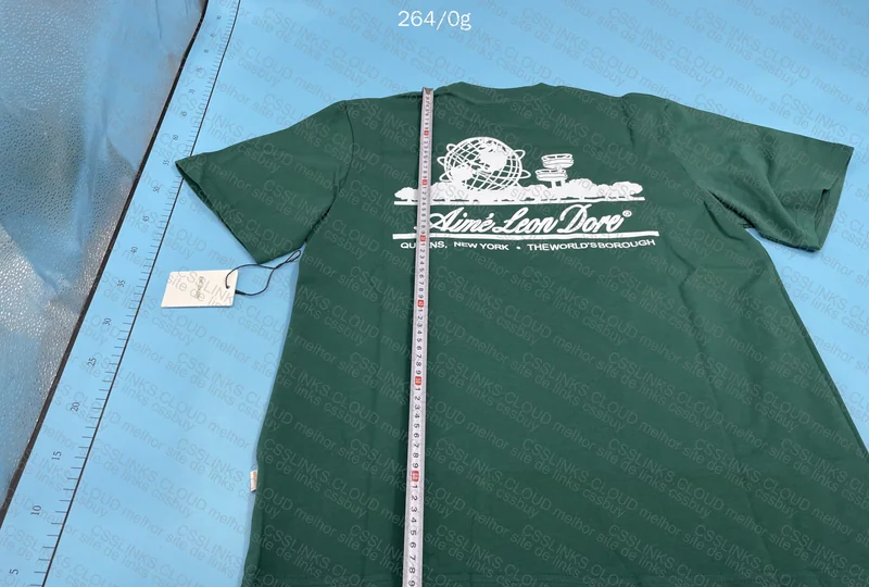 ALD Shirt (with measurements) 5