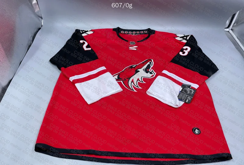 Random NFL and NHL Soccer Jersey 5