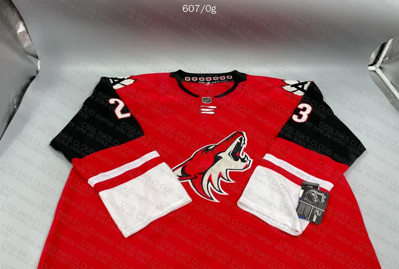 Random NFL and NHL Soccer Jersey 9