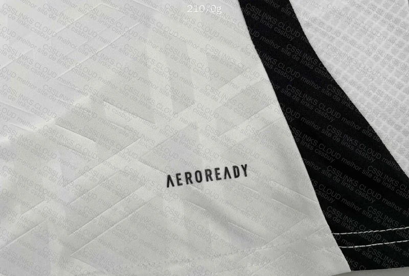 Germany 24/25 Jersey 2
