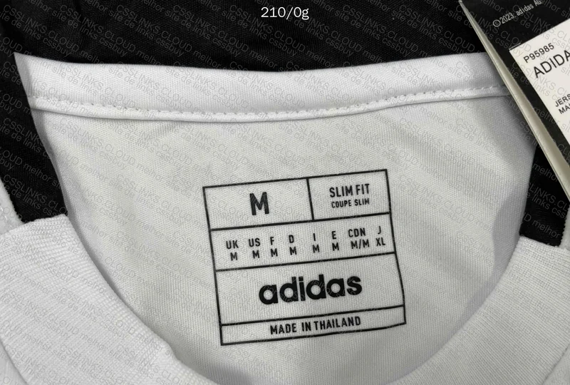 Germany 24/25 Jersey 4