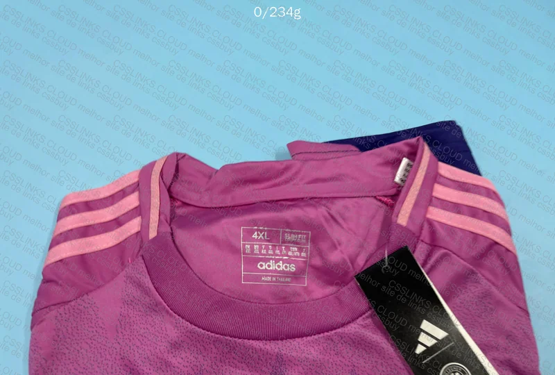 Germany Euro 2024 Jersey 2