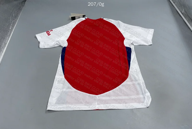 Arsenal 24/25 Player Version Shirt