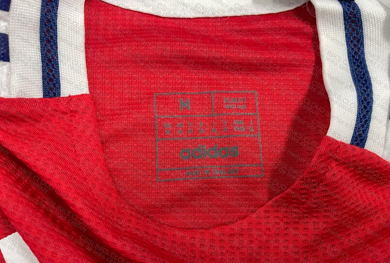 Arsenal 24/25 Player Version Shirt 2