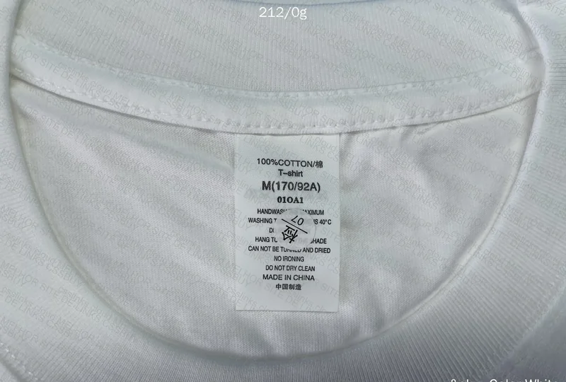 Basic White Shirt 2
