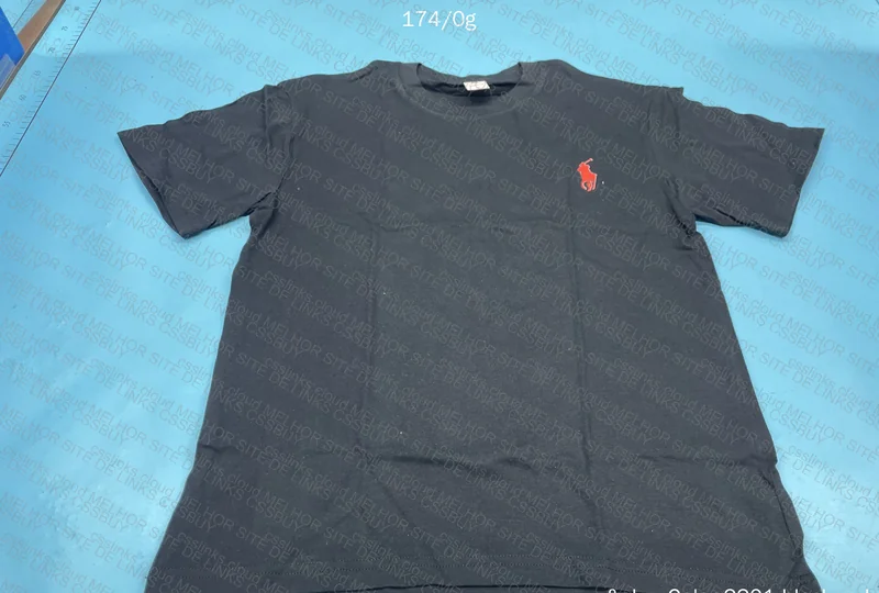 Basic Ralph Lauren Shirt 2