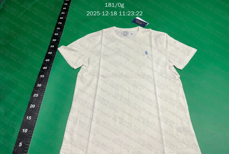 Basic Ralph Lauren Shirt 2