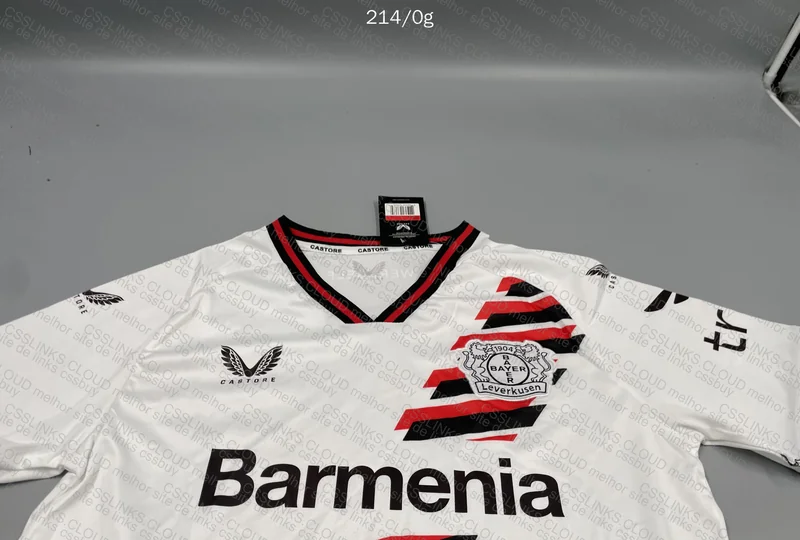 Bayer Leverkusen Shirt 3