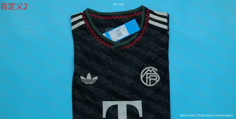 Bayern Shirt 2