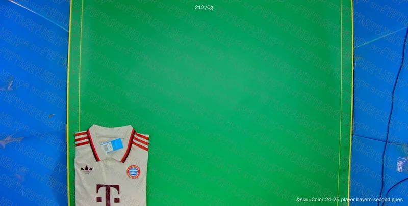 Bayern 3 24/25 Shirt