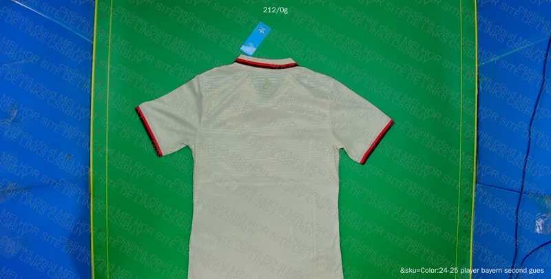 Bayern 3 24/25 Shirt 2