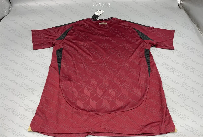 Belgium 24/25 Shirt 2