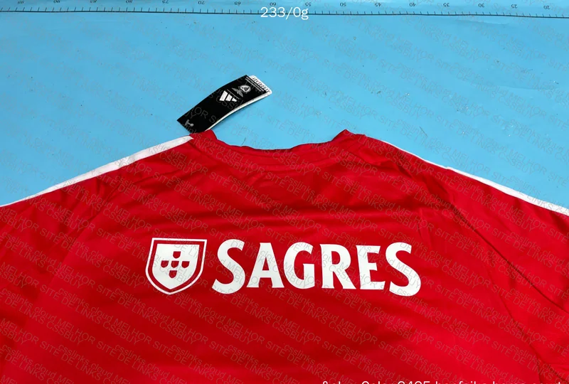 Benfica 24/25 Shirt 3