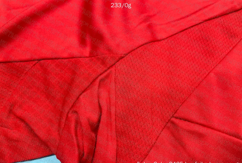 Benfica 24/25 Shirt 6