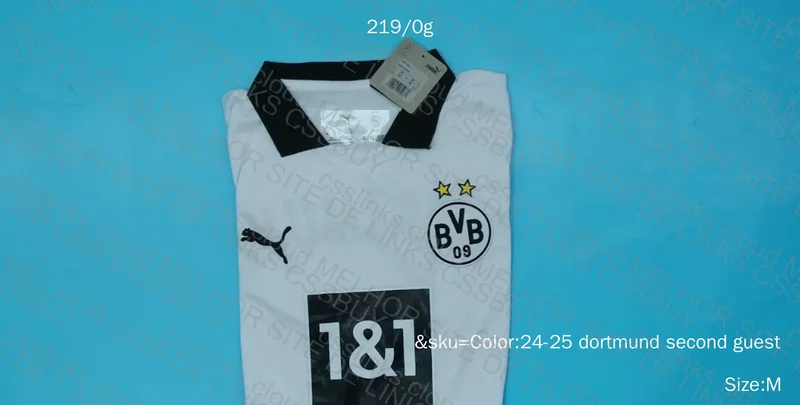 Borussia Dortmund 24/25 Third Shirt
