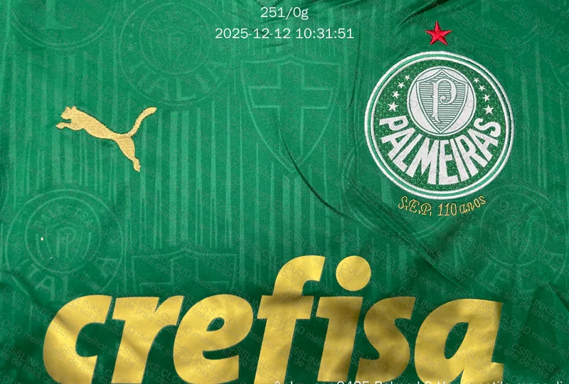 Botafogo + Palmeiras Shirt 5