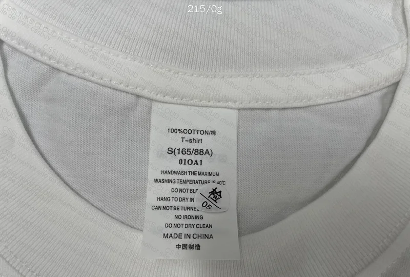Basic White Shirt 2
